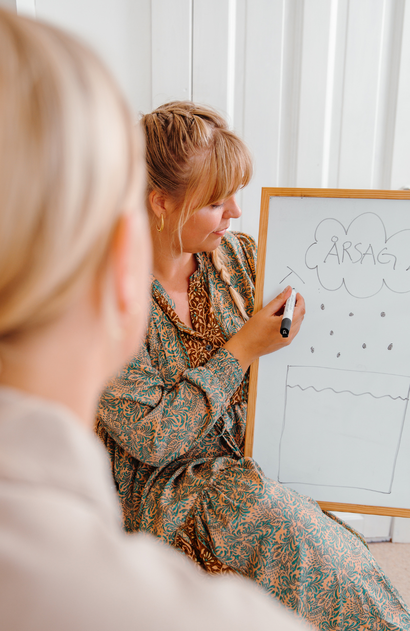 Sigrid forklarer årsagssammenhænge ved whiteboard i klinikken